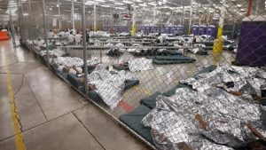 “Cages?  Good idea!!”